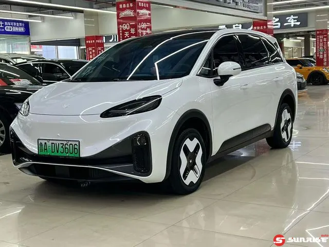 Arcfox Koala S, 2024