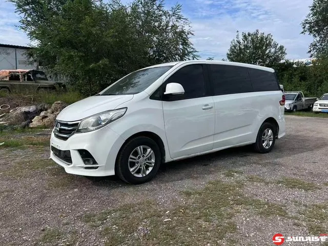 Maxus Maxus G10, 2018