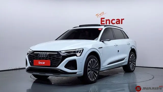 Audi Q8 e-tron, 2024/12