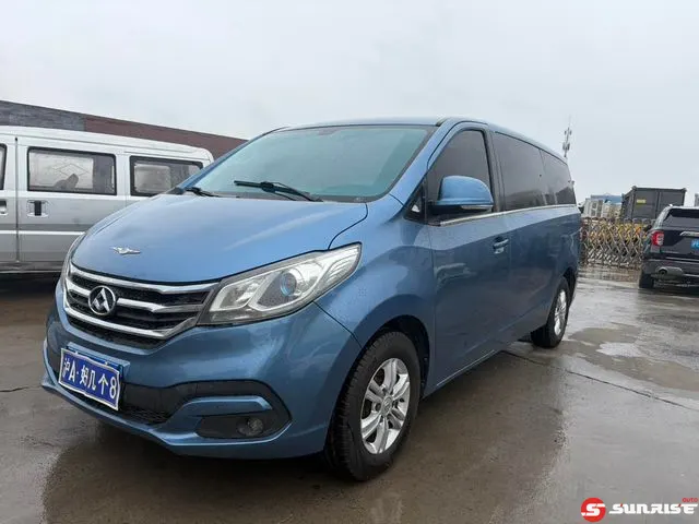 Maxus Maxus G10, 2018