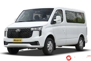 Maxus V80