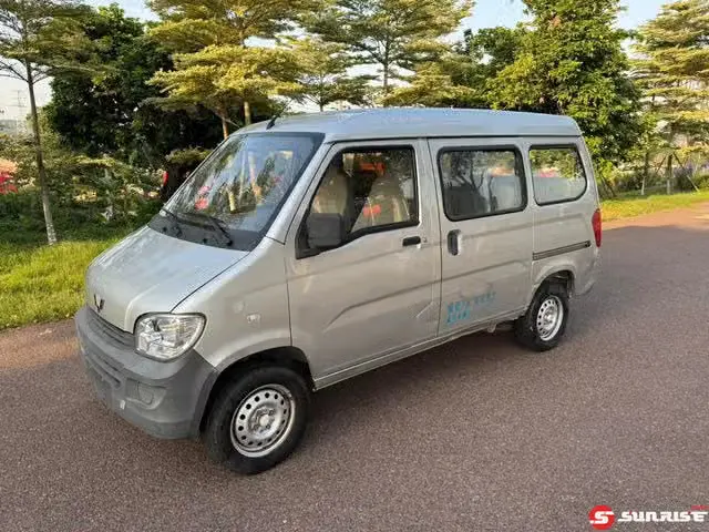 Wuling Zhiguang, 2020