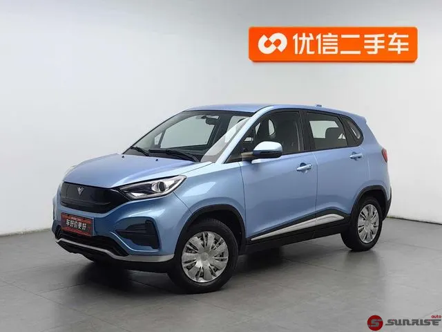 Neta N01, 2020