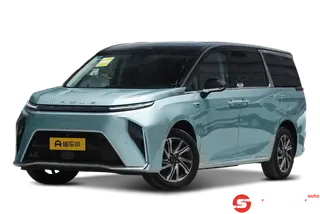 Maxus 9