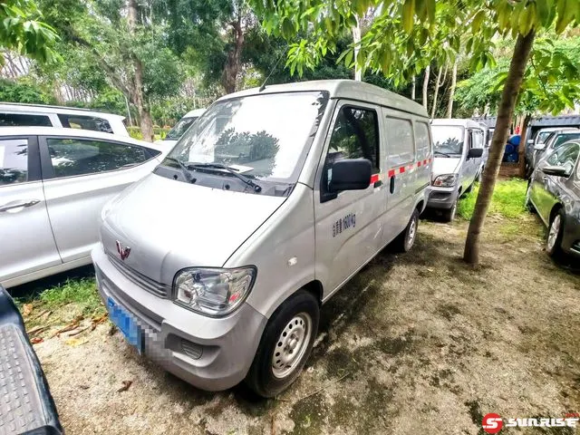 Wuling Zhiguang, 2021