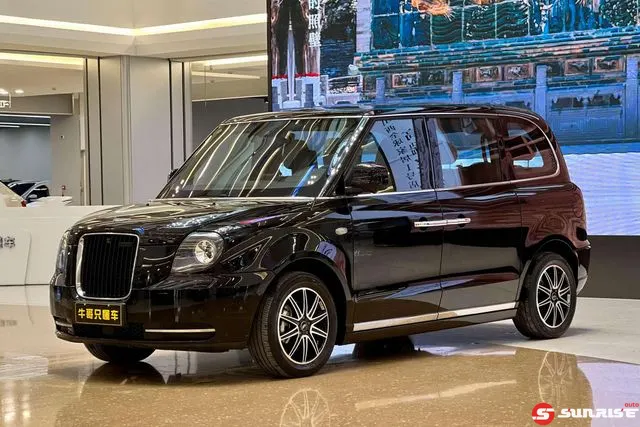 LEVC LEVC LX, 2021