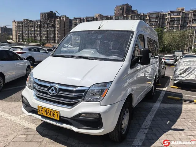 Maxus Maxus V80, 2018