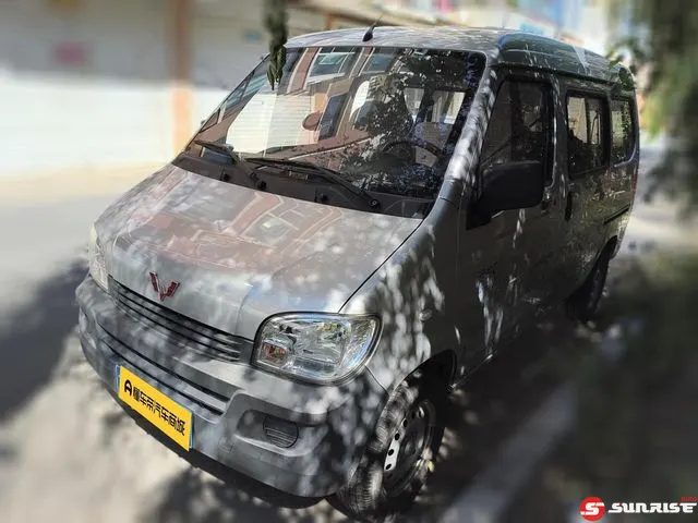 Wuling Zhiguang, 2024