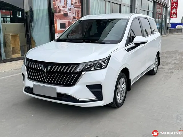 Wuling Jiachen, 2024