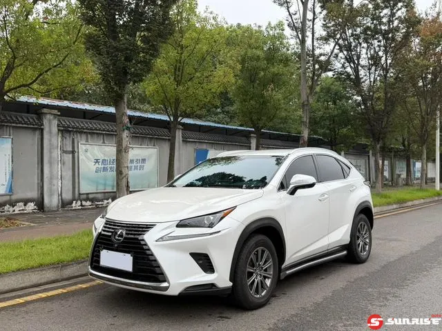 Lexus NX, 2018