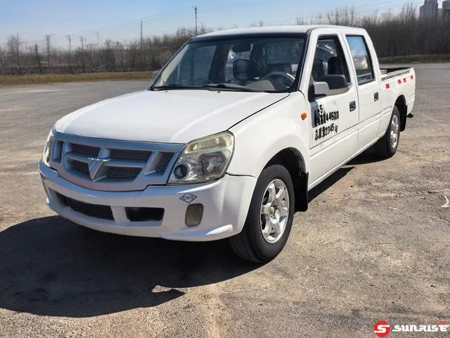 Foton Sapu, 2013