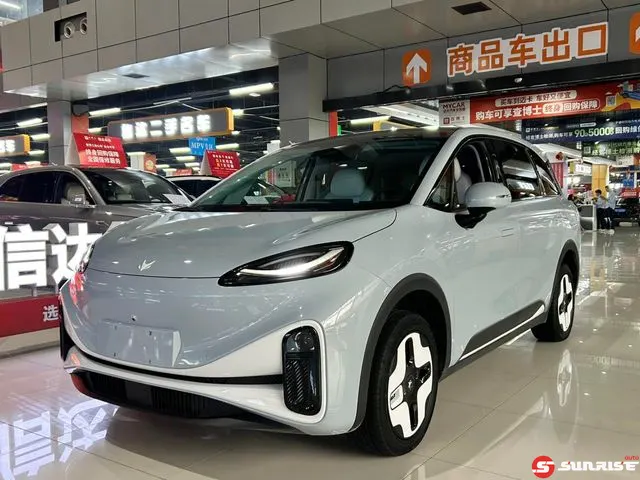 Arcfox Koala S, 2024