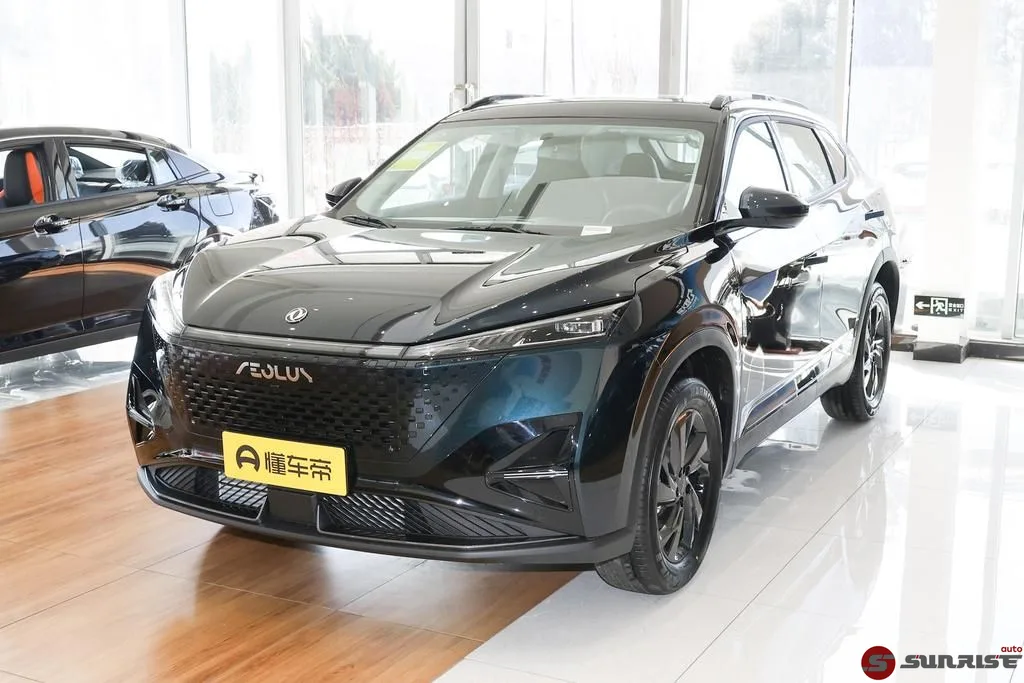 Dongfeng Aeolus 皓瀚