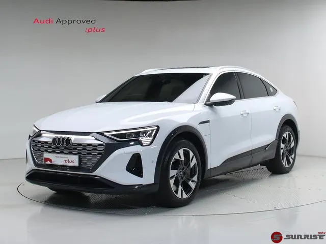 Audi Q8 e-tron, 2024/12
