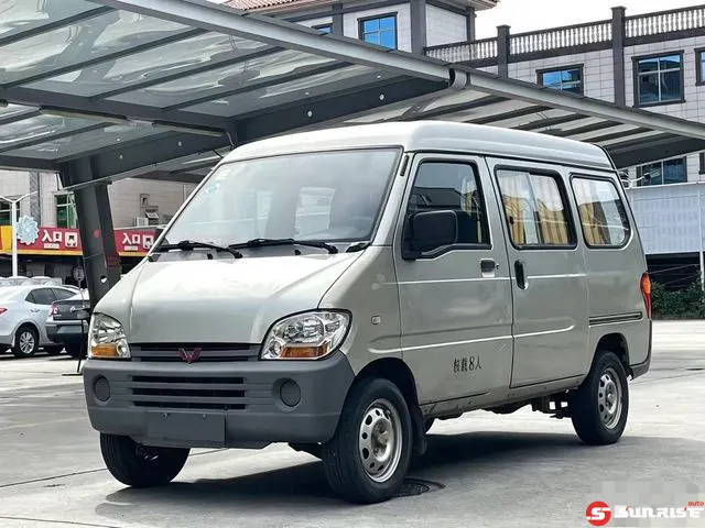 Wuling Zhiguang, 2011