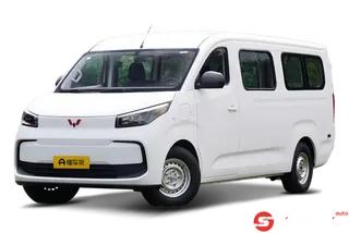 Wuling Pro