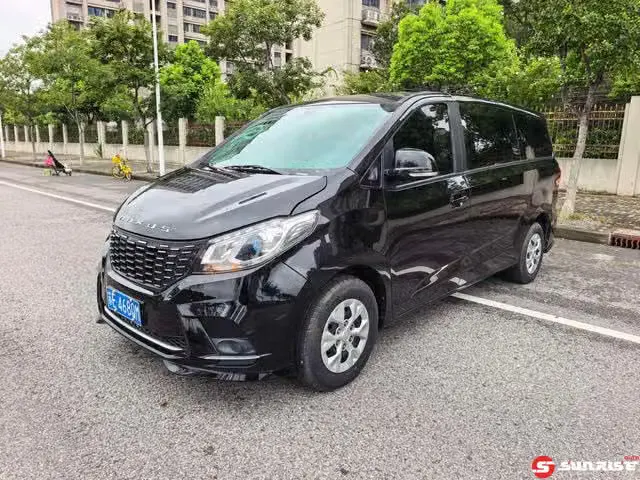 Maxus Maxus G10, 2023
