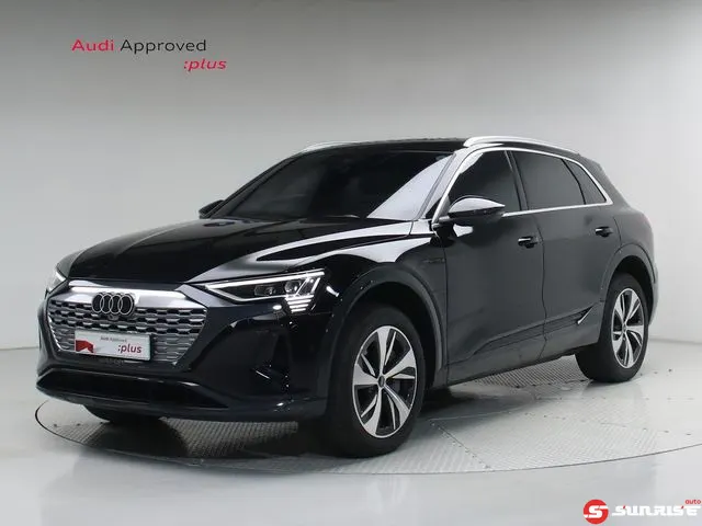 Audi Q8 e-tron, 2024/12