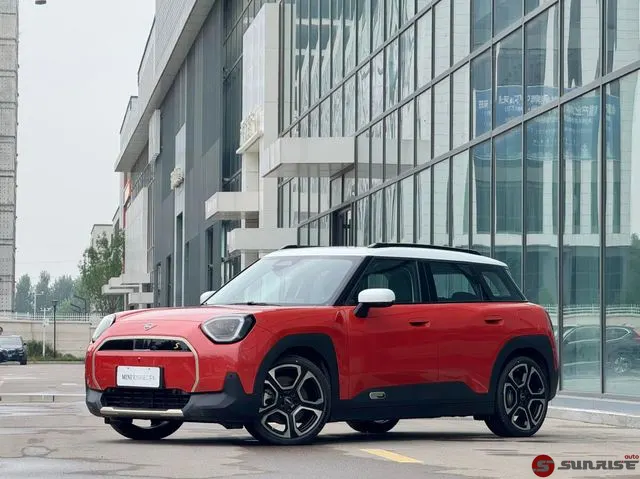 MINI MINI ACEMAN, 2024
