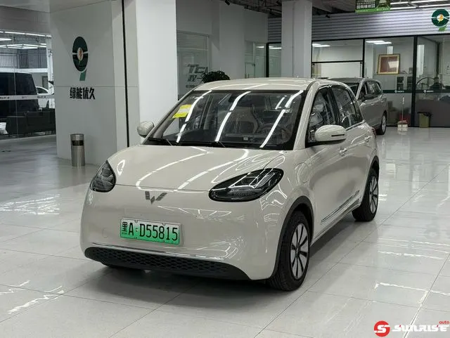 Wuling Bingo, 2026