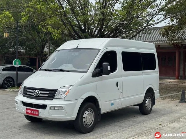 Maxus Maxus V80, 2024