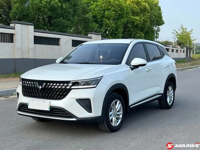Wuling Xingchi, 2024