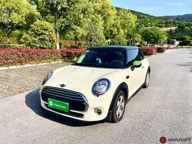MINI MINI, 2015