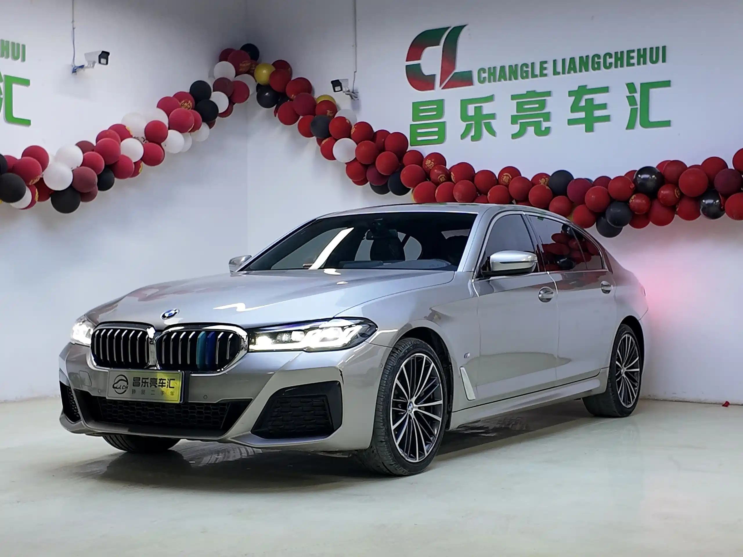 BMW 5 SERIES