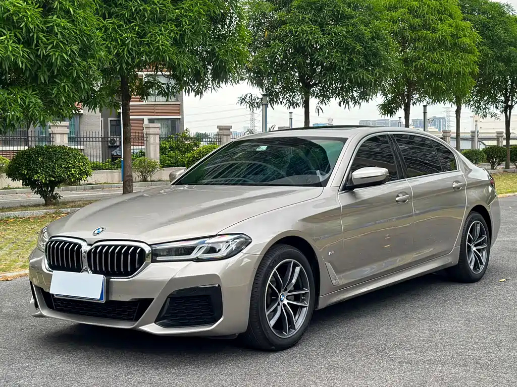 BMW 5 SERIES
