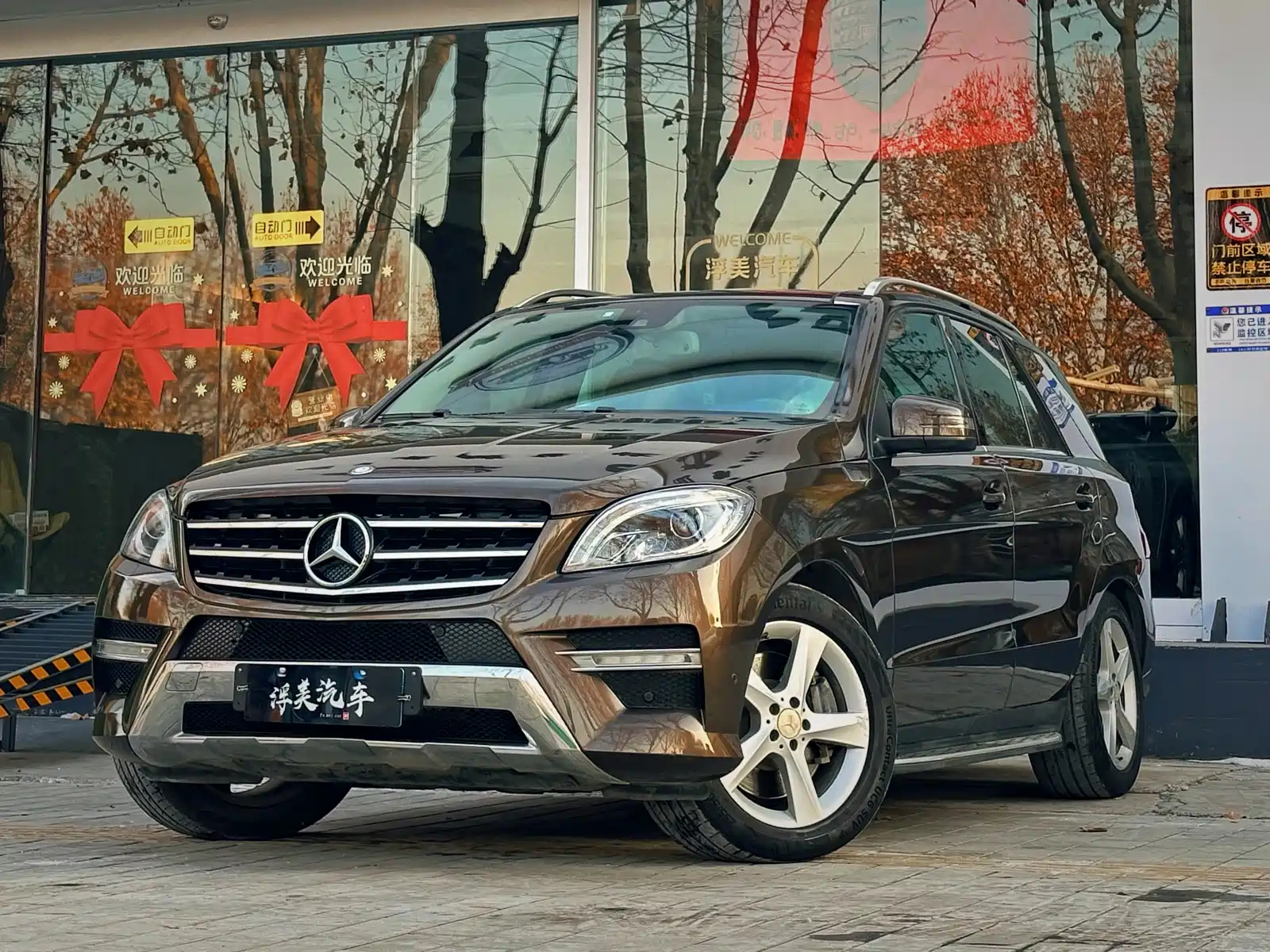 MERCEDES-BENZ M-CLASS