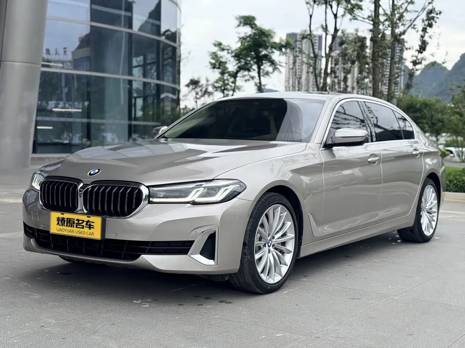 BMW 5 SERIES