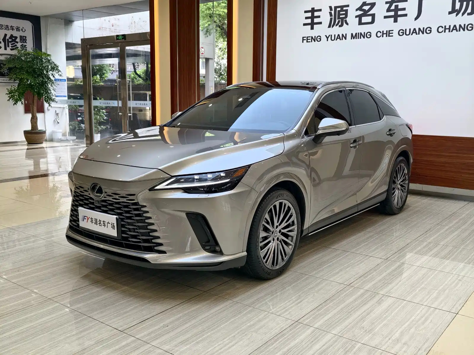 LEXUS RX
