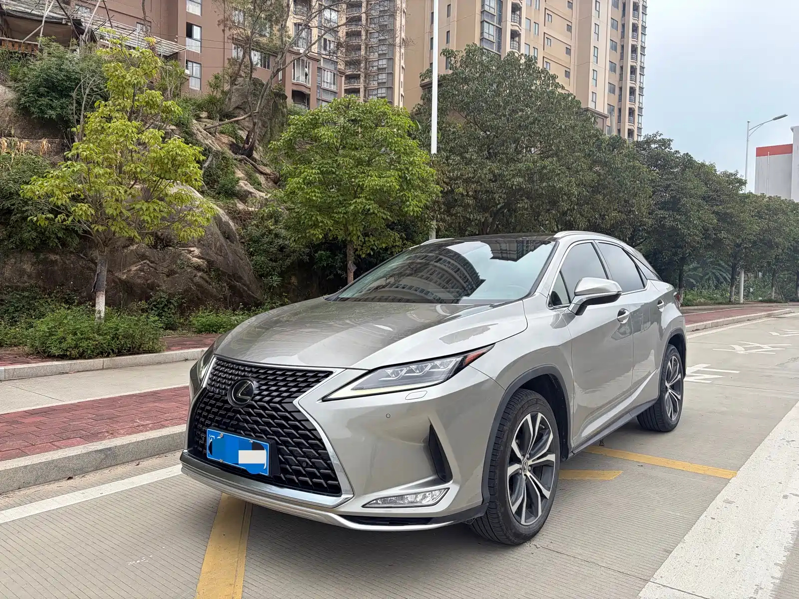 LEXUS RX