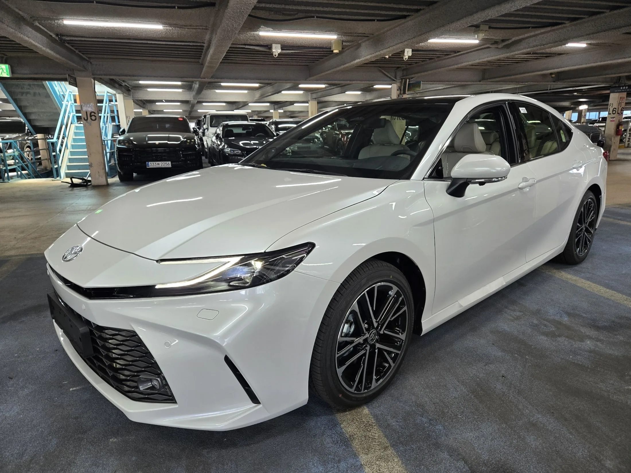 Заказать TOYOTA CAMRY XV80