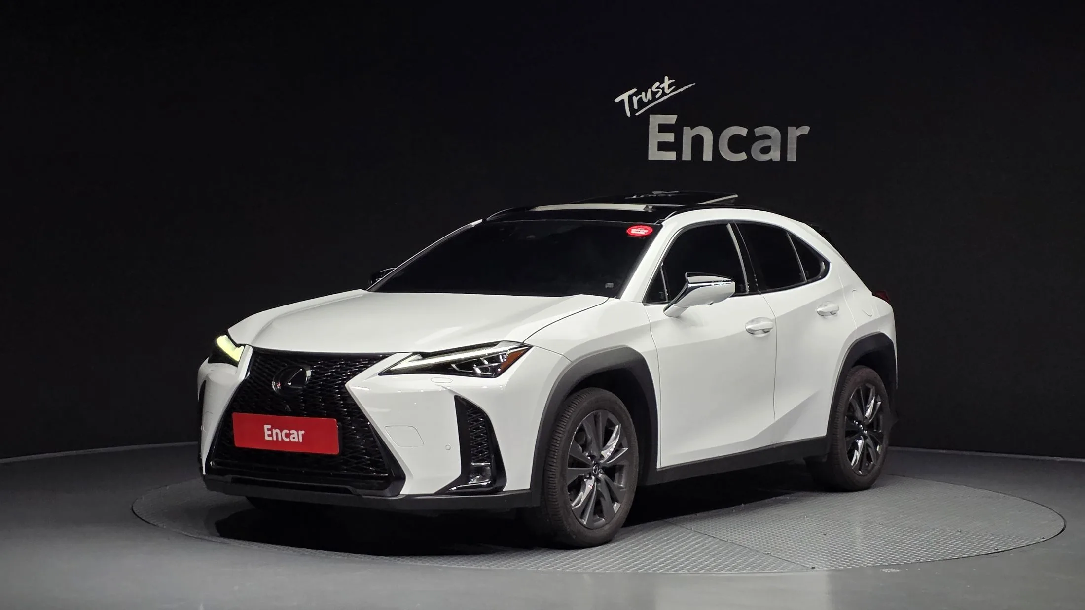 LEXUS UX250H