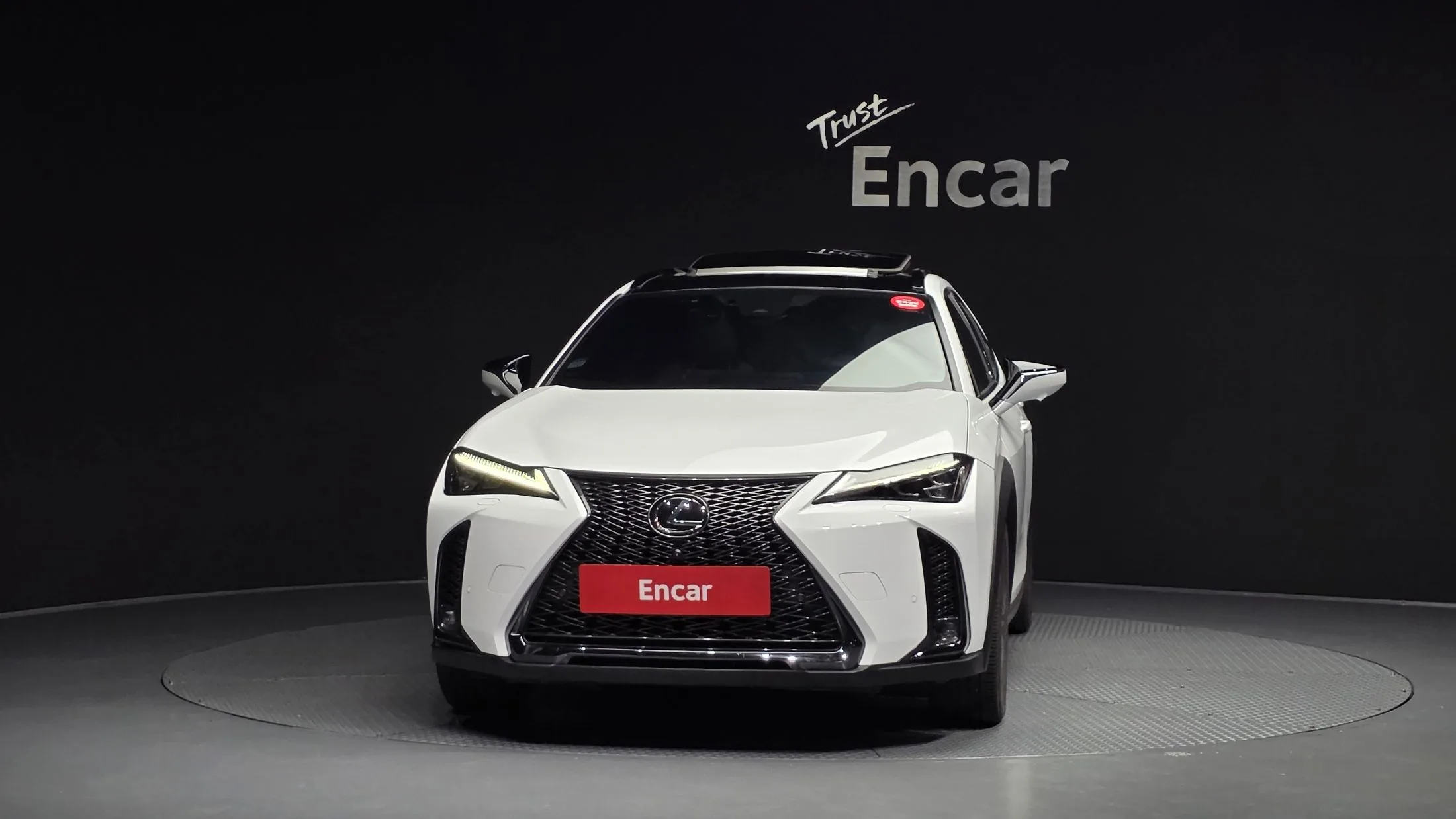 LEXUS UX250H