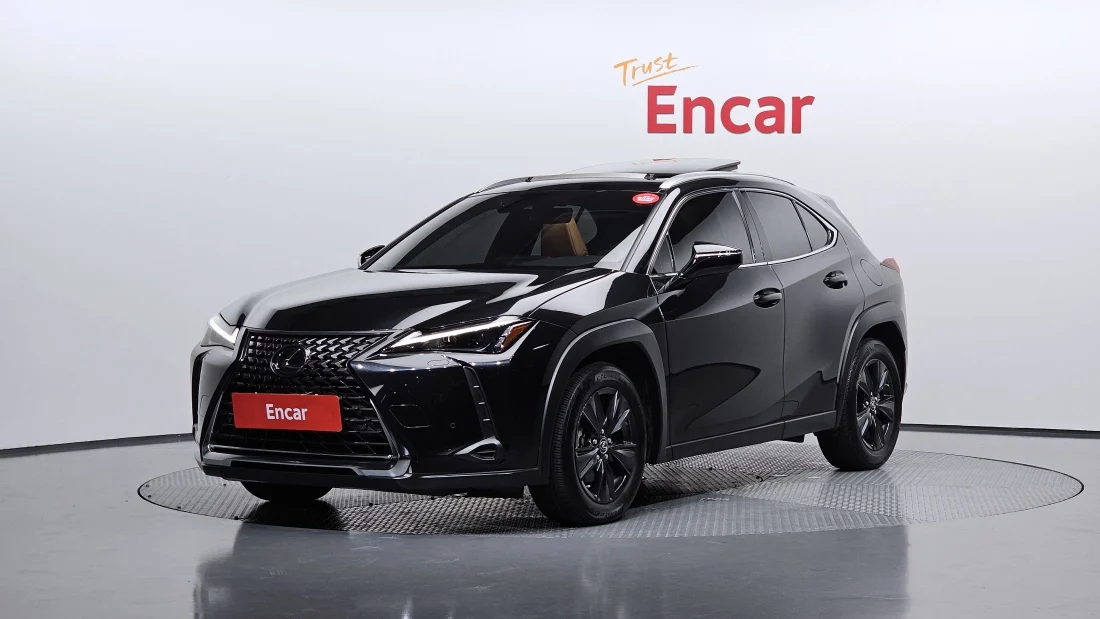 LEXUS UX250H