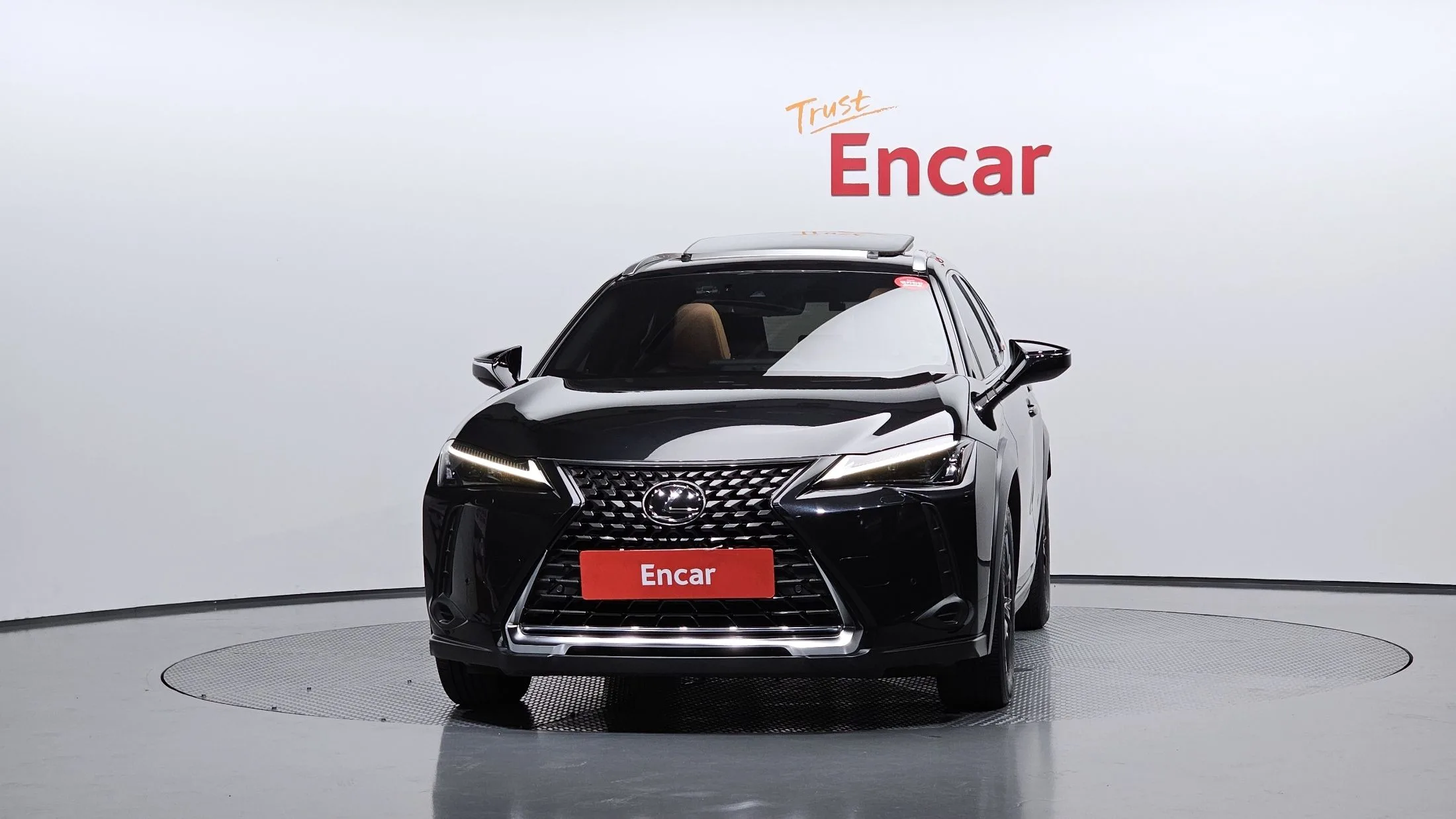 LEXUS UX250H
